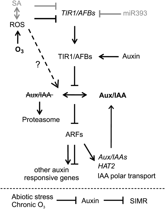 Figure 7.