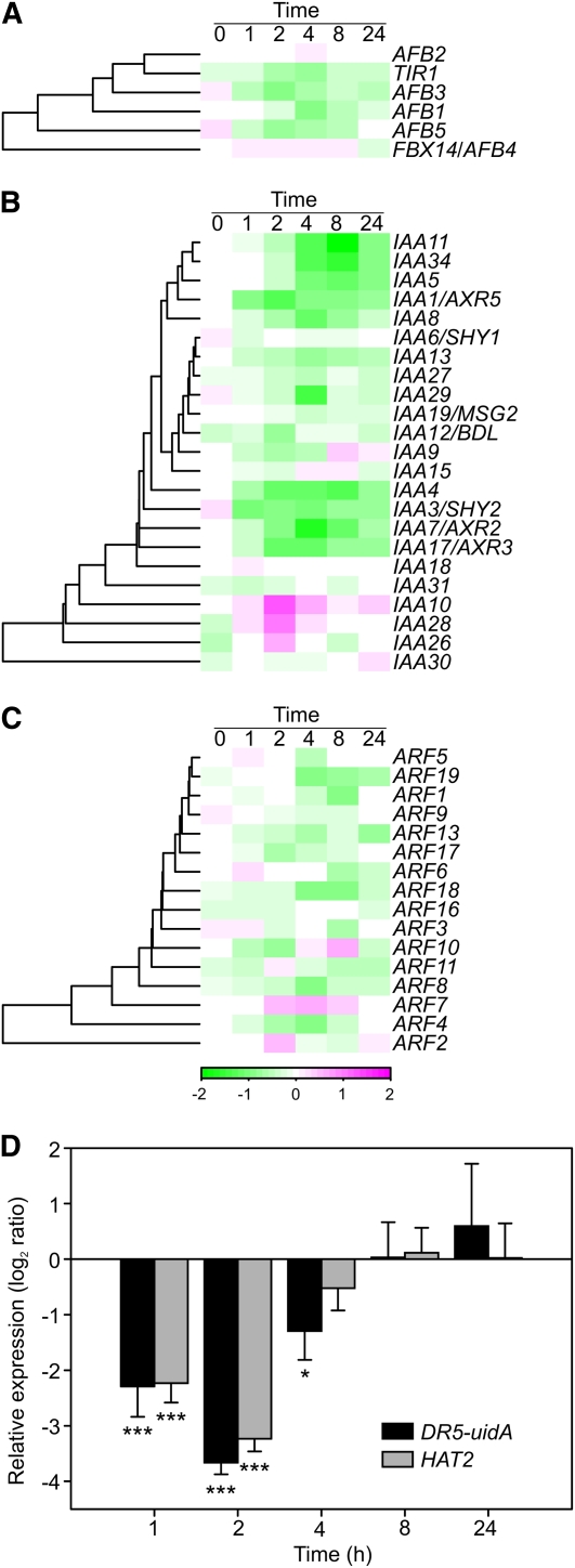 Figure 2.