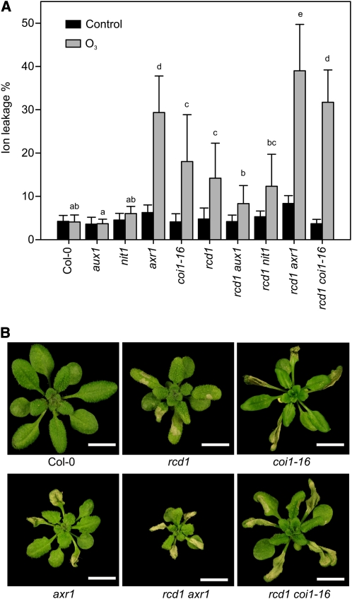 Figure 5.