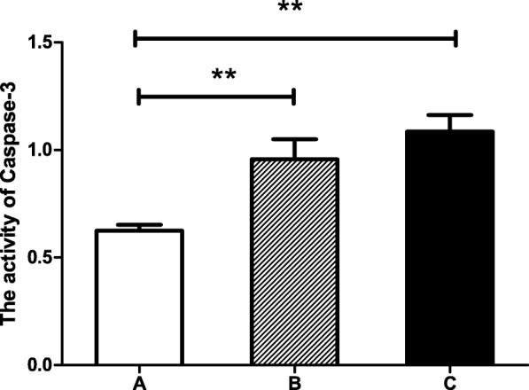 Fig. 11