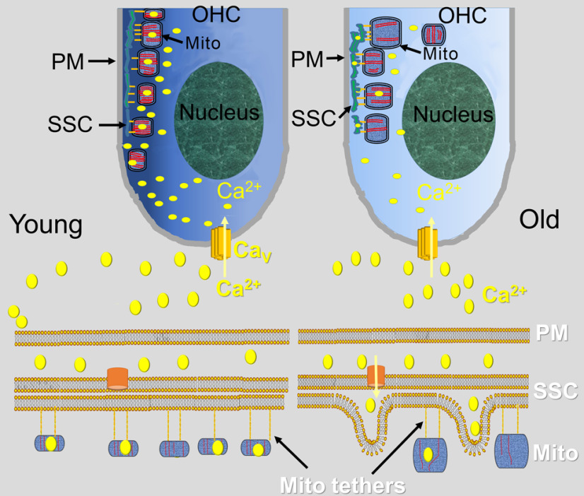 Figure 9.