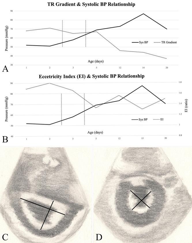 FIG. 2.