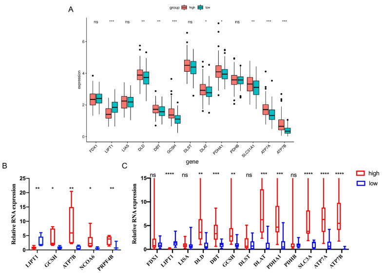 Figure 11