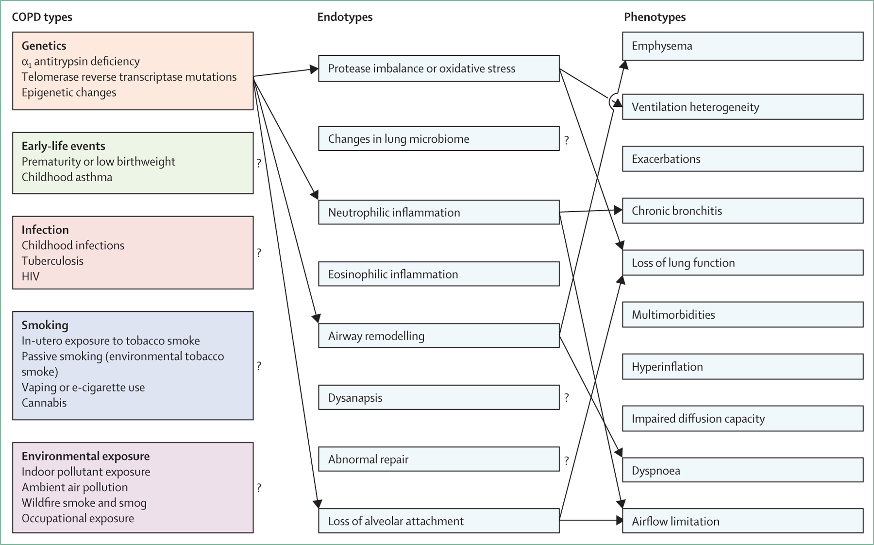 Figure 13: