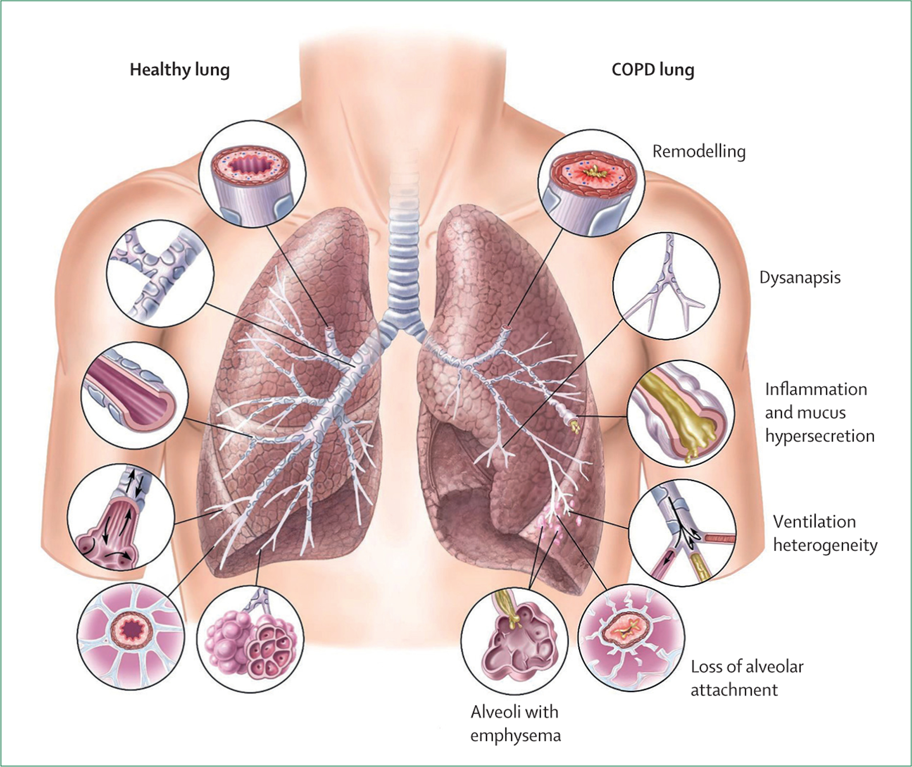 Figure 10: