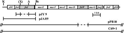 FIG. 1.