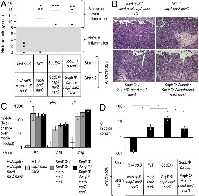 FIG 6 