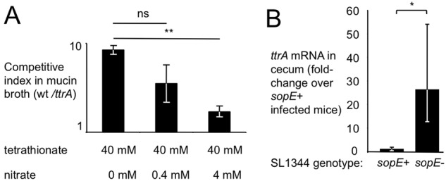 FIG 2 