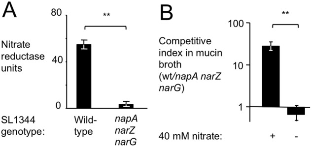 FIG 3 