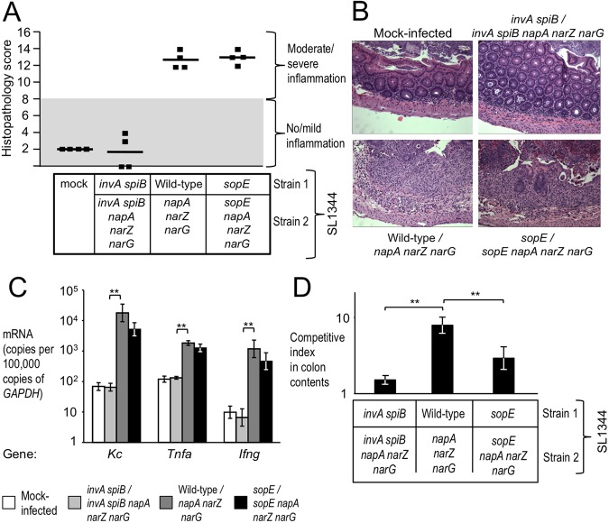 FIG 4 