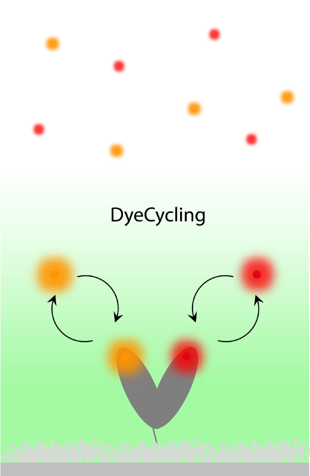 graphic file with name 12274_2022_4420_Fig1_HTML.jpg