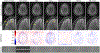Fig. 2: