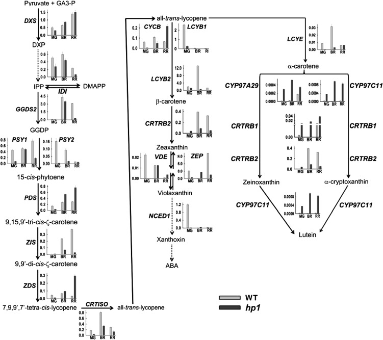 Figure 4.