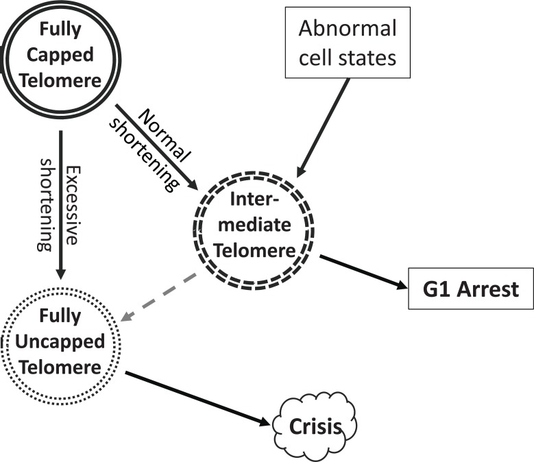 Fig. (2)