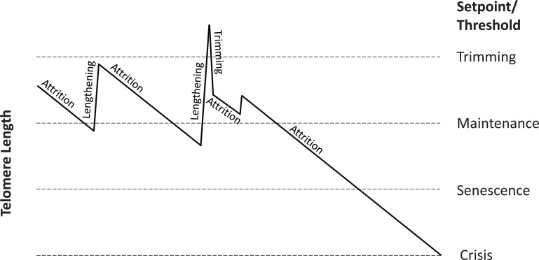 Fig. (5)