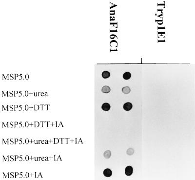 FIG. 5