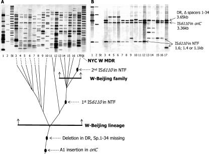 FIG. 2.