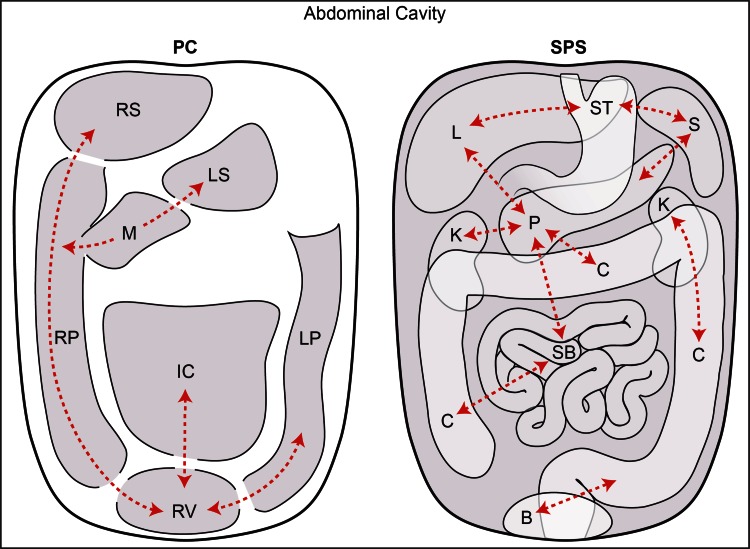 Fig. 1