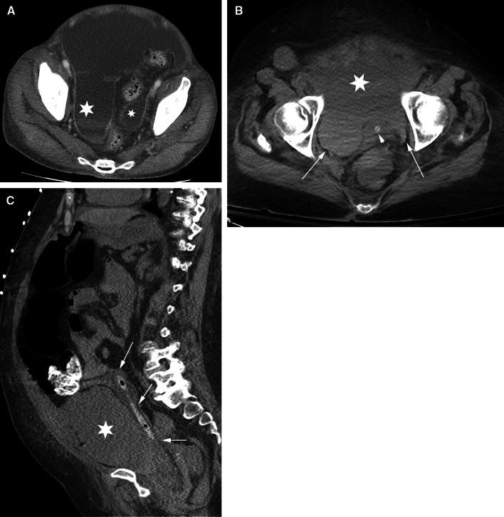 Fig. 8