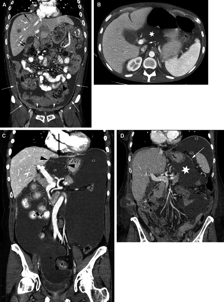 Fig. 7