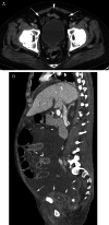 Fig. 5