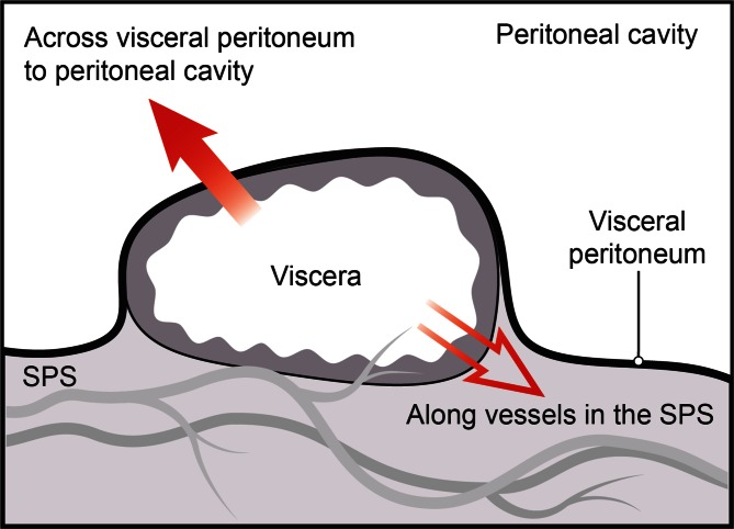 Fig. 6