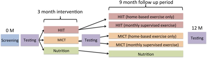 Figure 2