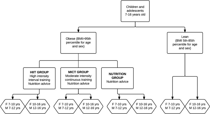 Figure 1