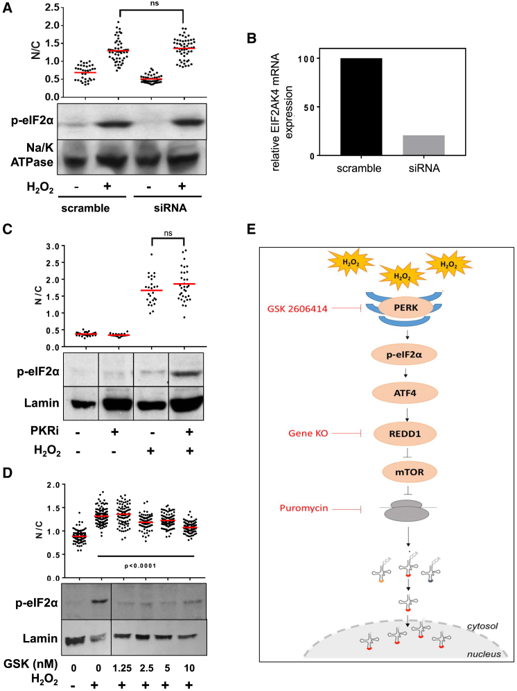 Figure 7