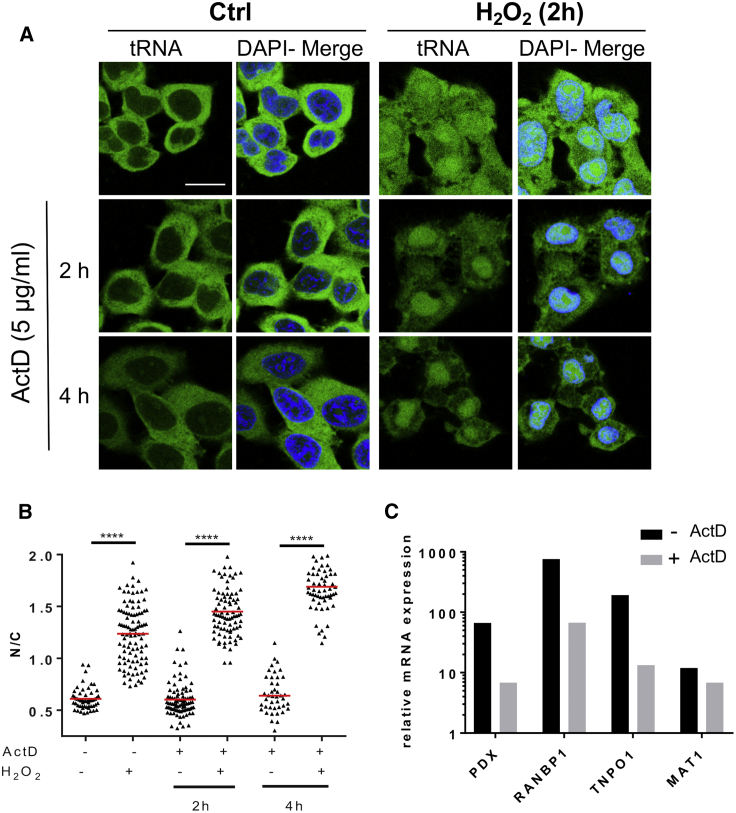 Figure 3