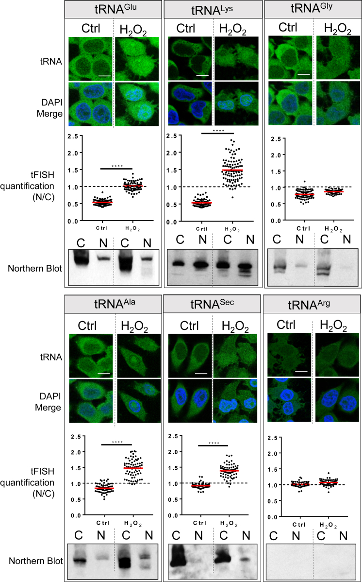 Figure 5