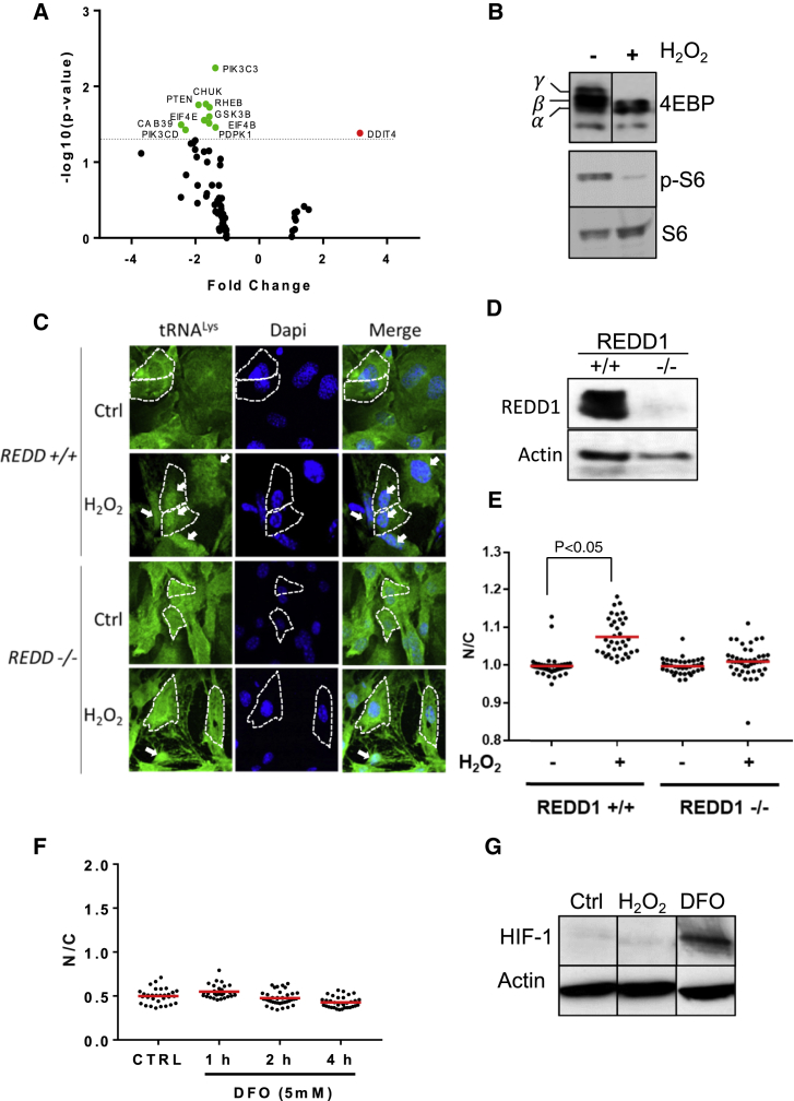 Figure 6