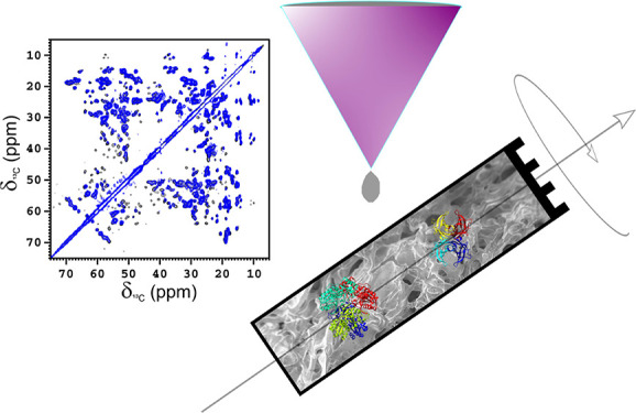 graphic file with name ac1c01850_0007.jpg