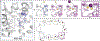 Fig. 4 |