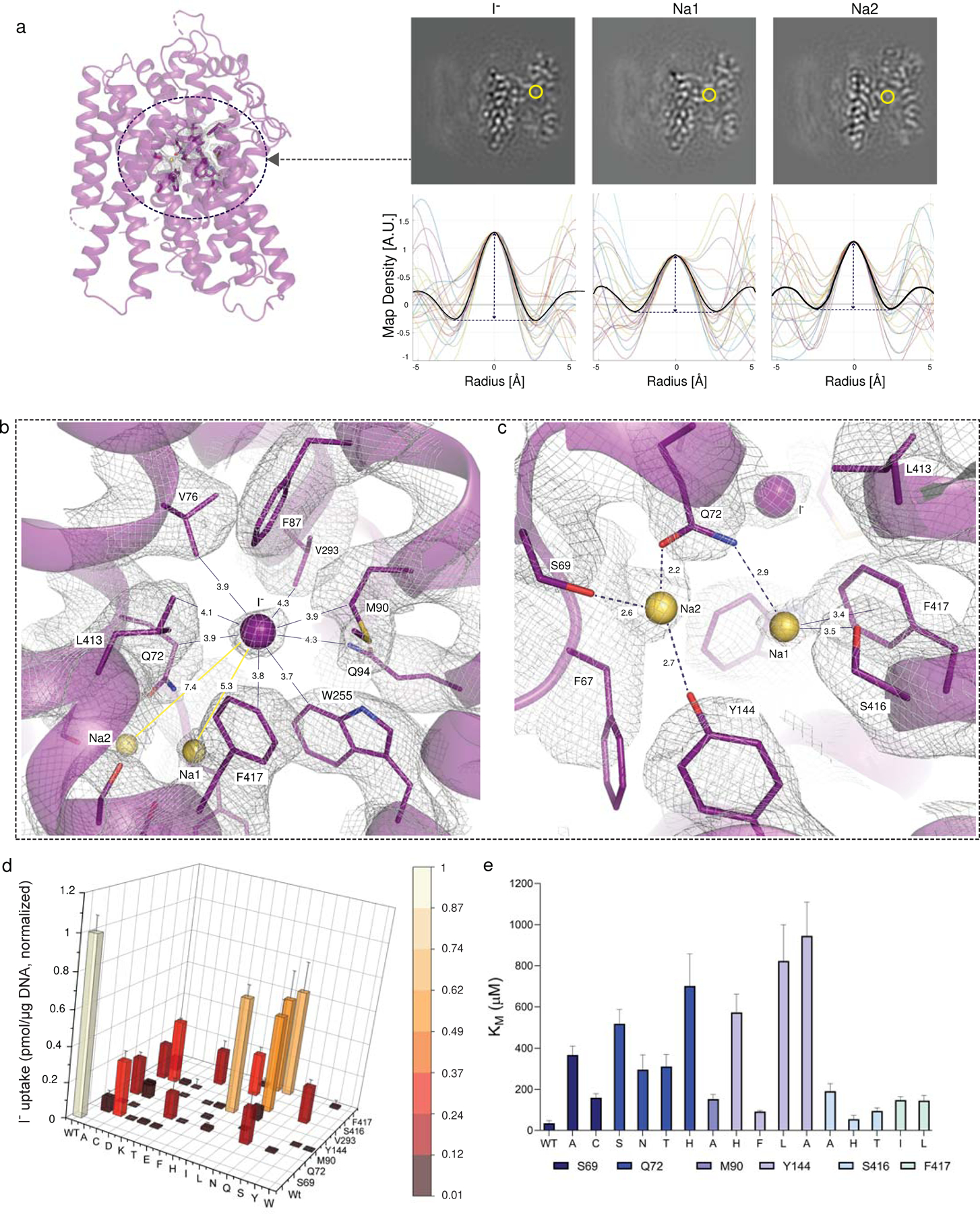 Fig. 2 │