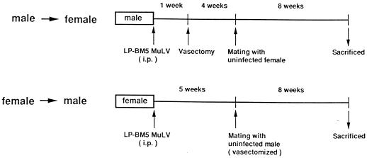 FIG. 1