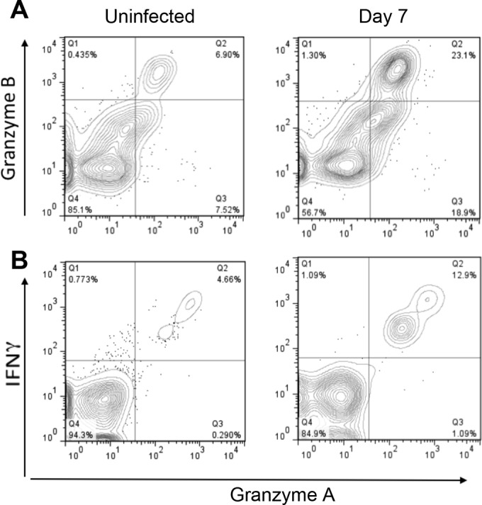 FIG 6