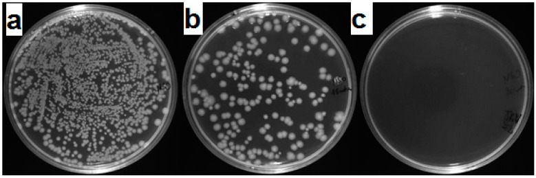 Figure 11