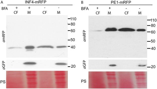 FIG 2 