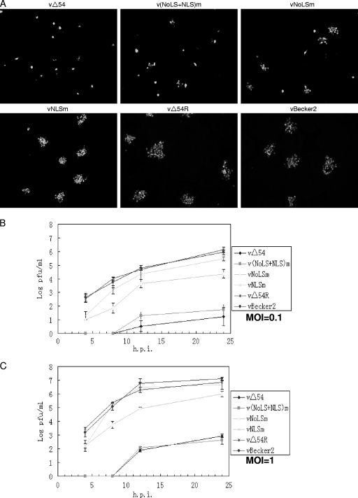 Fig. 7.