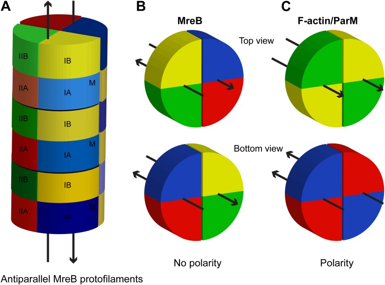 Figure 1—figure supplement 2.