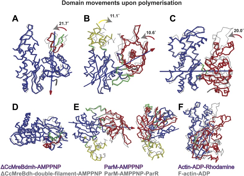 Figure 6—figure supplement 2.