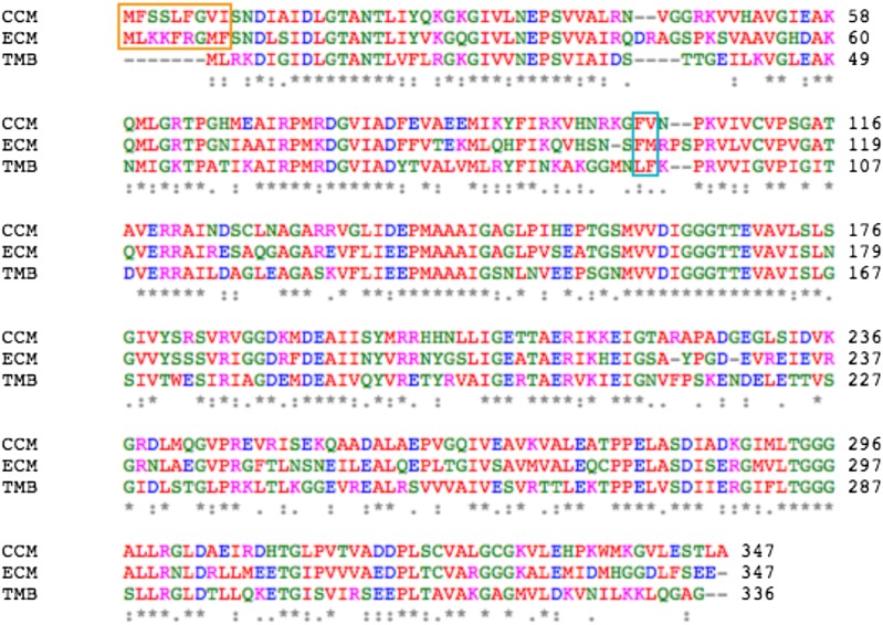 Figure 1—figure supplement 1.