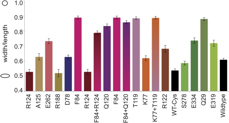 Figure 5—figure supplement 1.