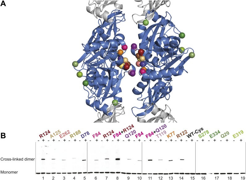 Figure 5.