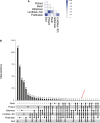 <sc>Fig</sc>. 3.—