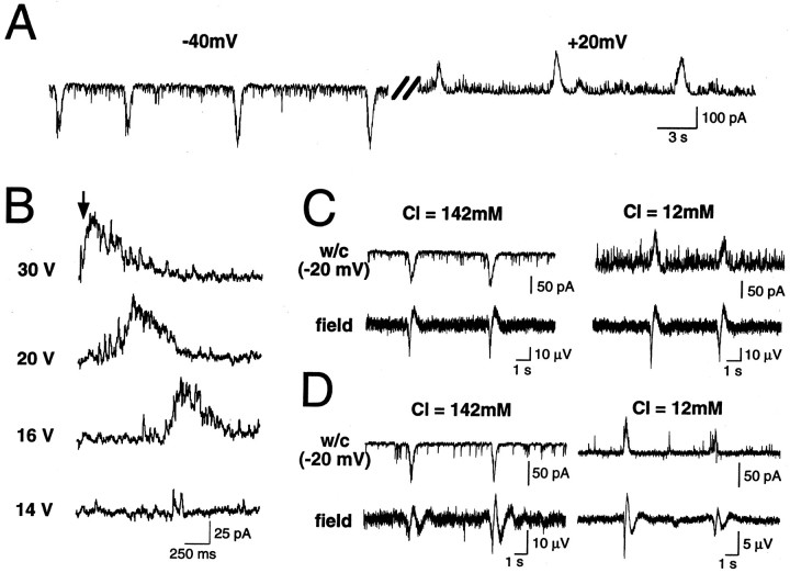 Fig. 1.