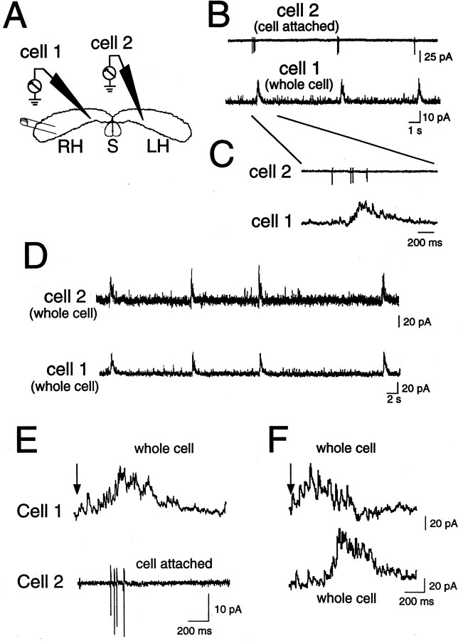 Fig. 2.