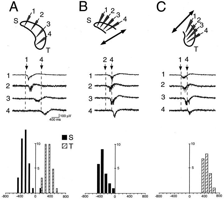 Fig. 4.