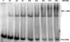 FIG. 8.